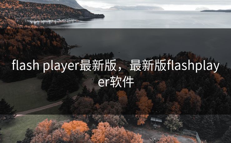 flash player最新版，最新版flashplayer软件  第1张