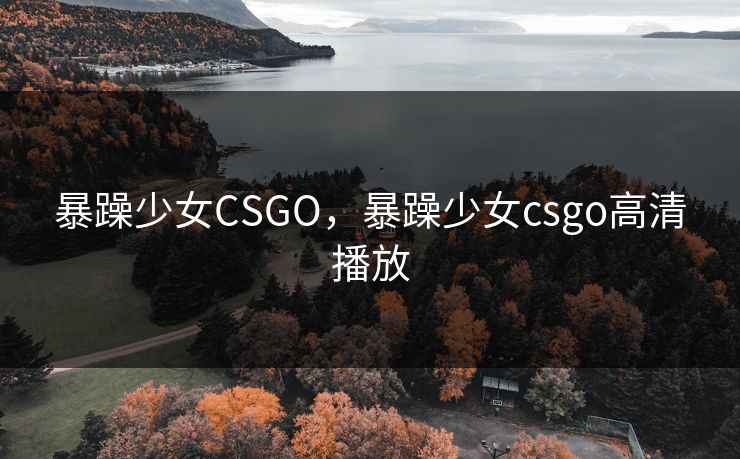 暴躁少女CSGO，暴躁少女csgo高清播放