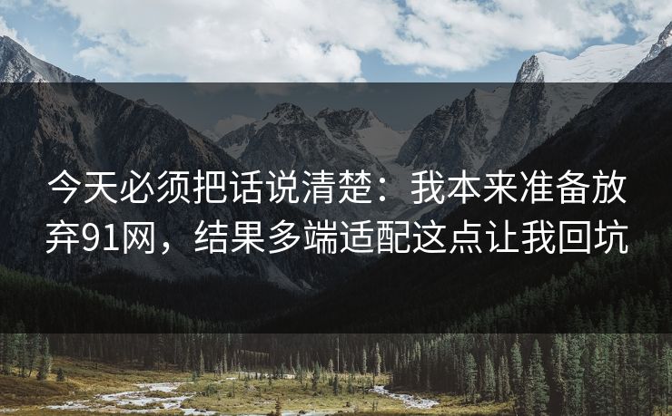 今天必须把话说清楚：我本来准备放弃91网，结果多端适配这点让我回坑