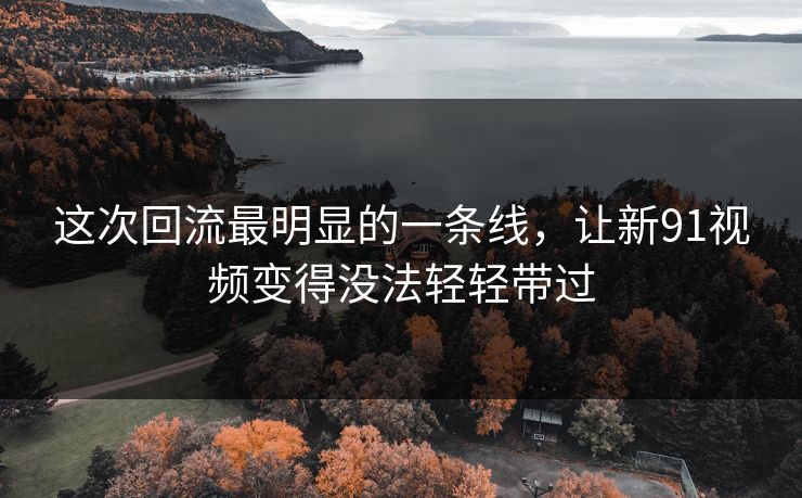 这次回流最明显的一条线，让新91视频变得没法轻轻带过  第1张