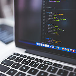 17c影院入口又换了？风向变了说今年有人找不到内容分类